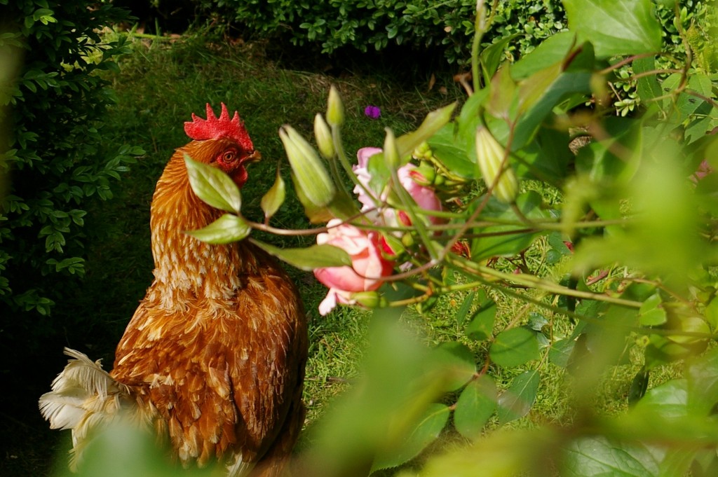Skipton Florist